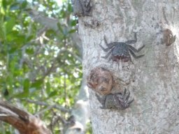 Florida_2007-2008-066